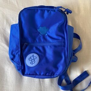 Baboon to the Moon + Duolingo Insulated Backpack